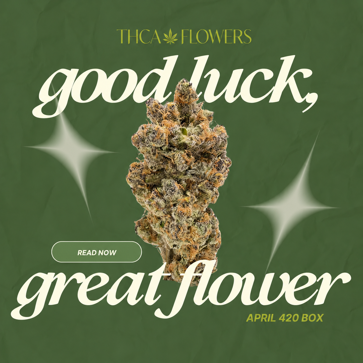 THCA Kings