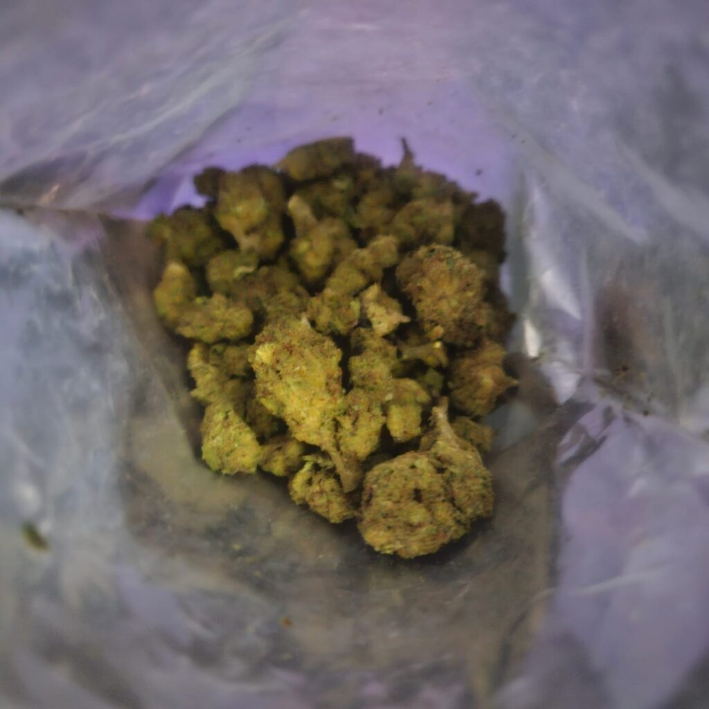 thca wholesale europe