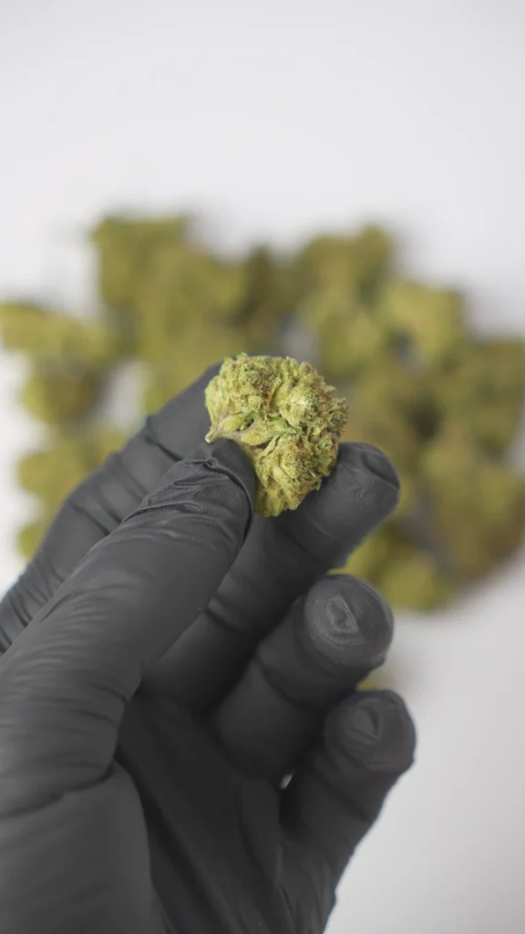 THCA Flower