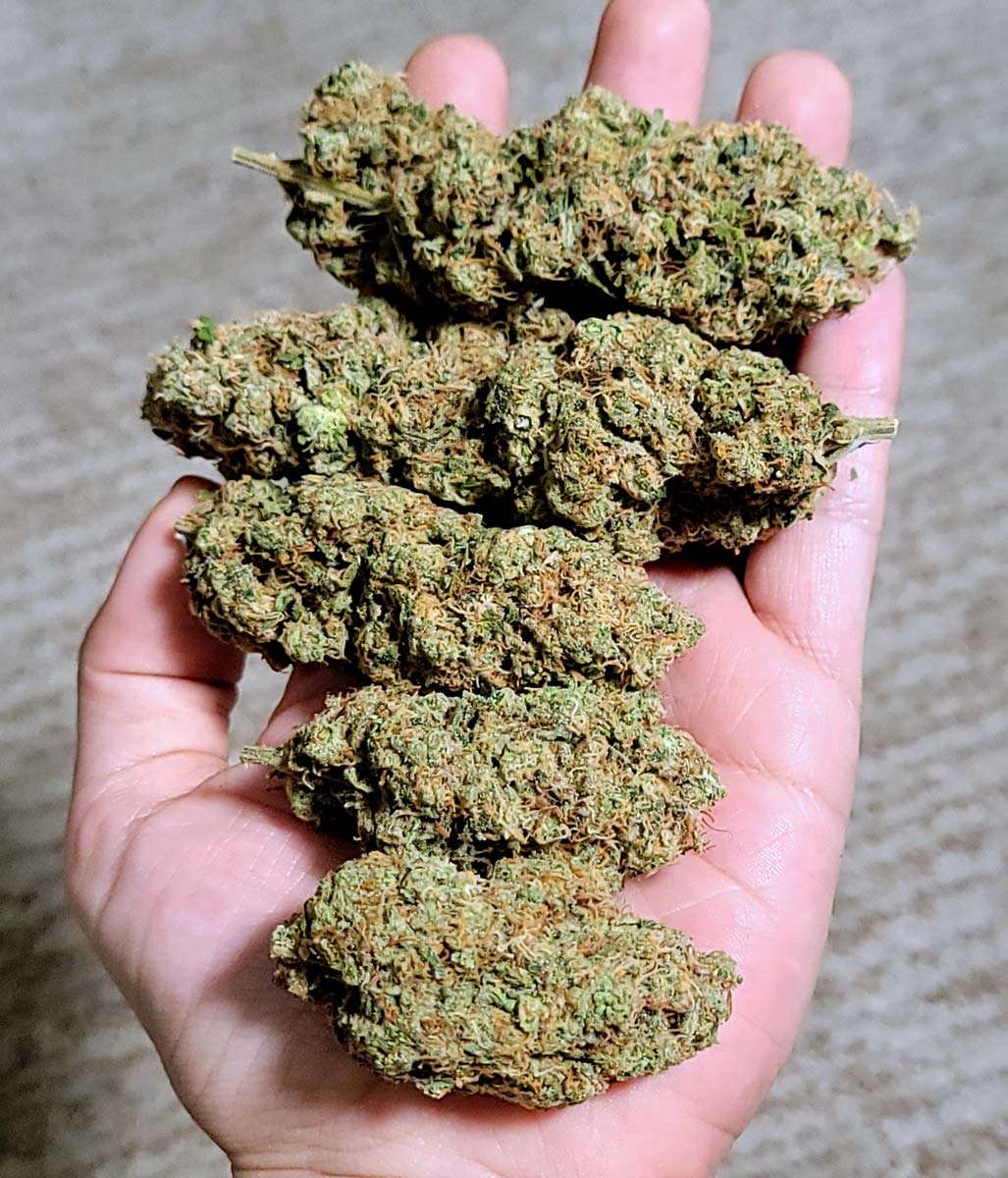 THCA vs Delta 8