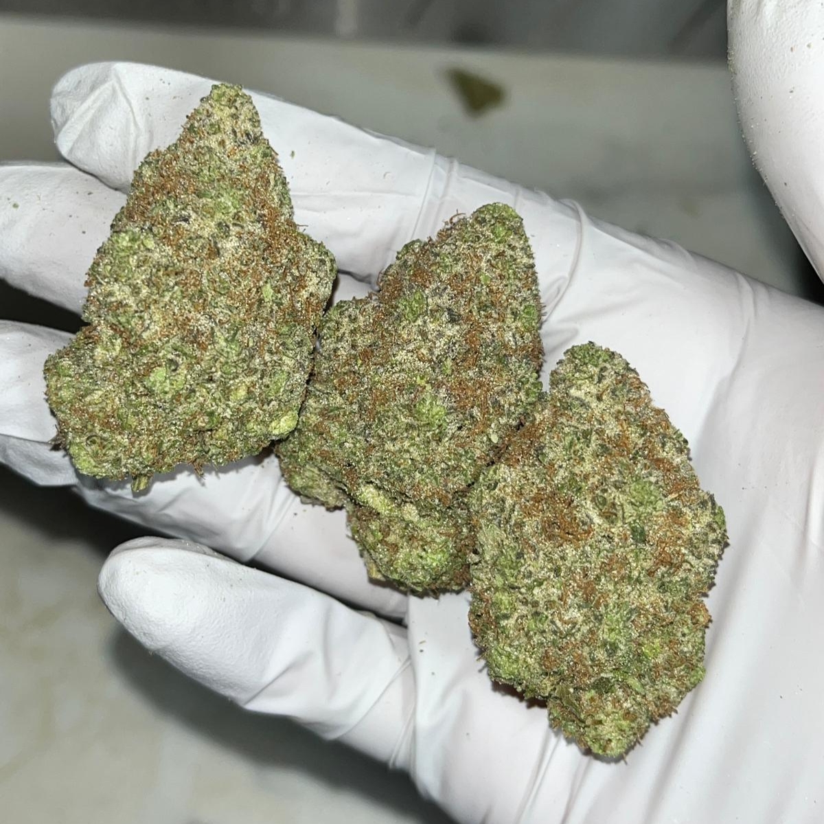 THCA flower effects