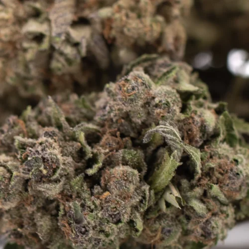 THCA Flower Wholesale