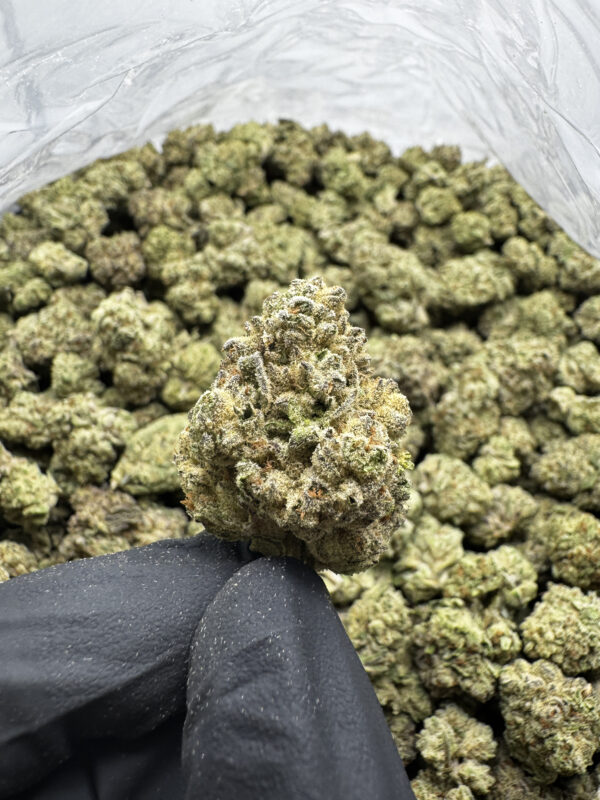 THCA flower Europe
