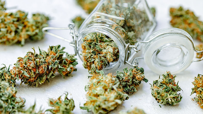 THCA flower vs CBD flower
