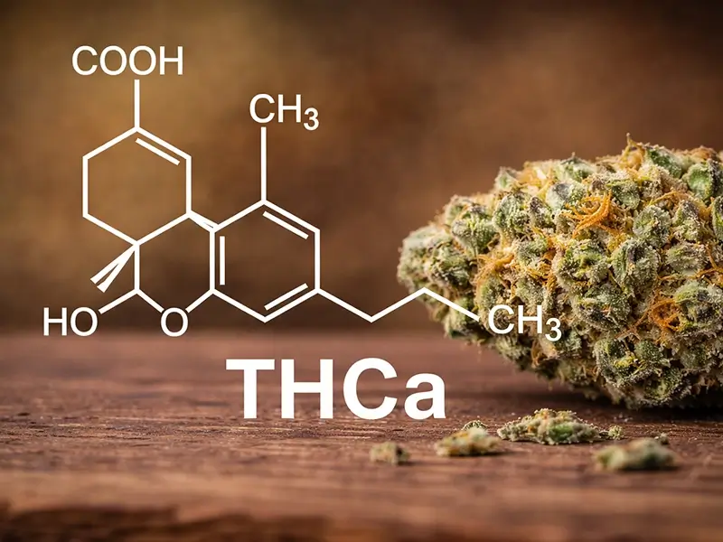 Wholesale THCA EU