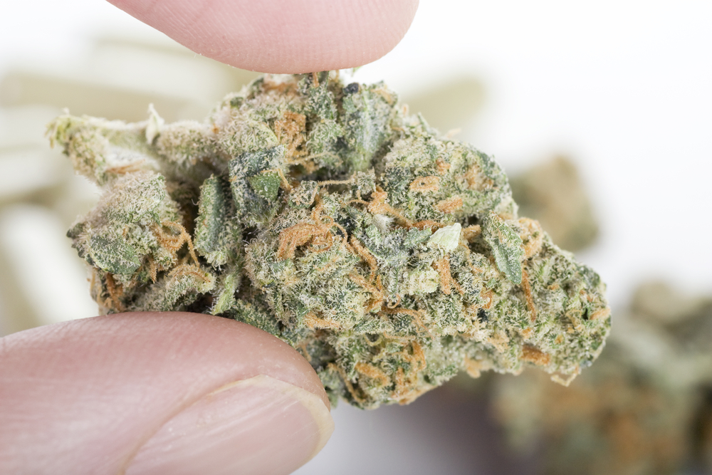 Organic THCA flower