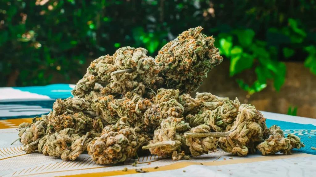 Buy premium THCA flower online