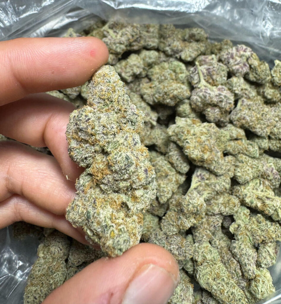 Wholesale THCA Flower Europe