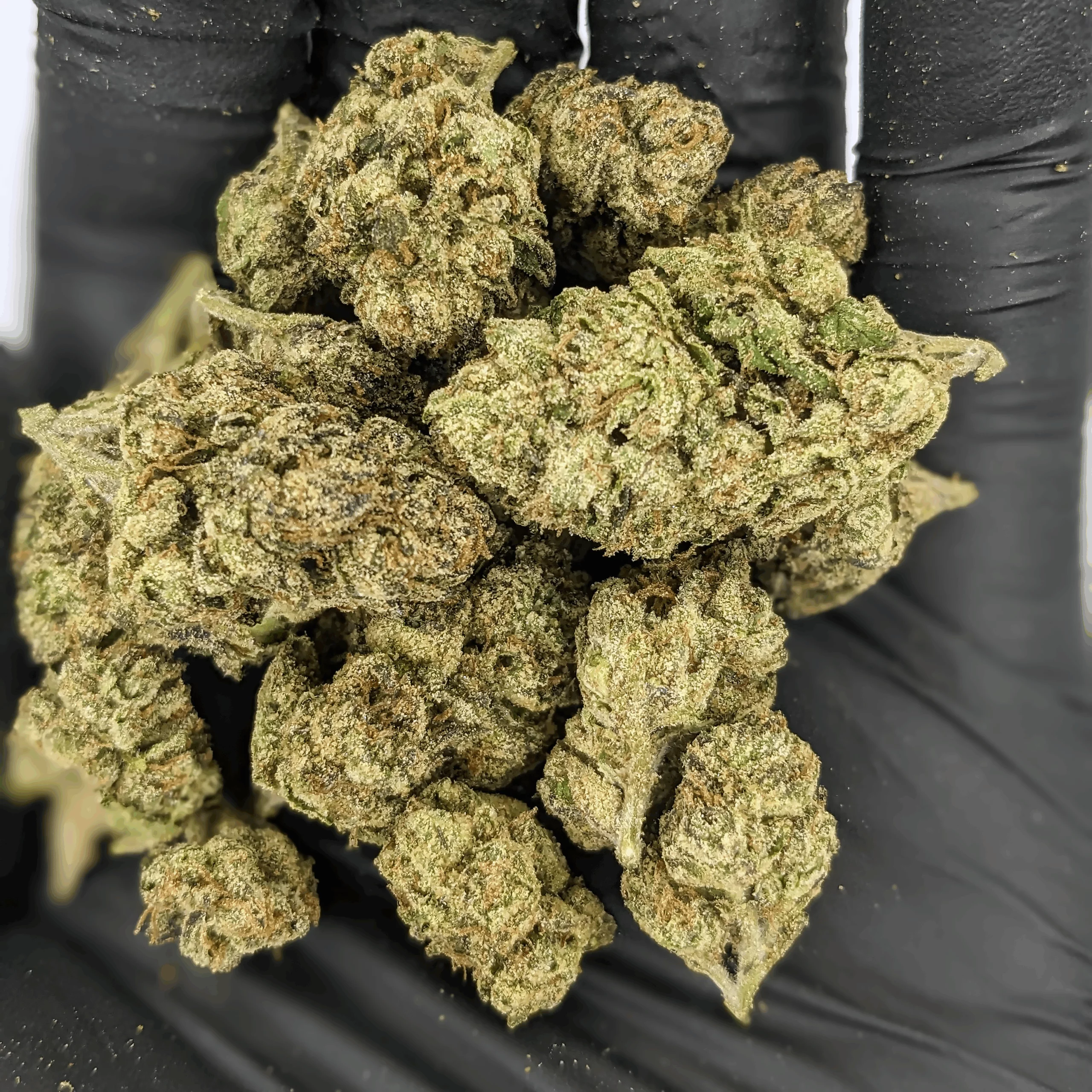 Organic THCA flower for sale