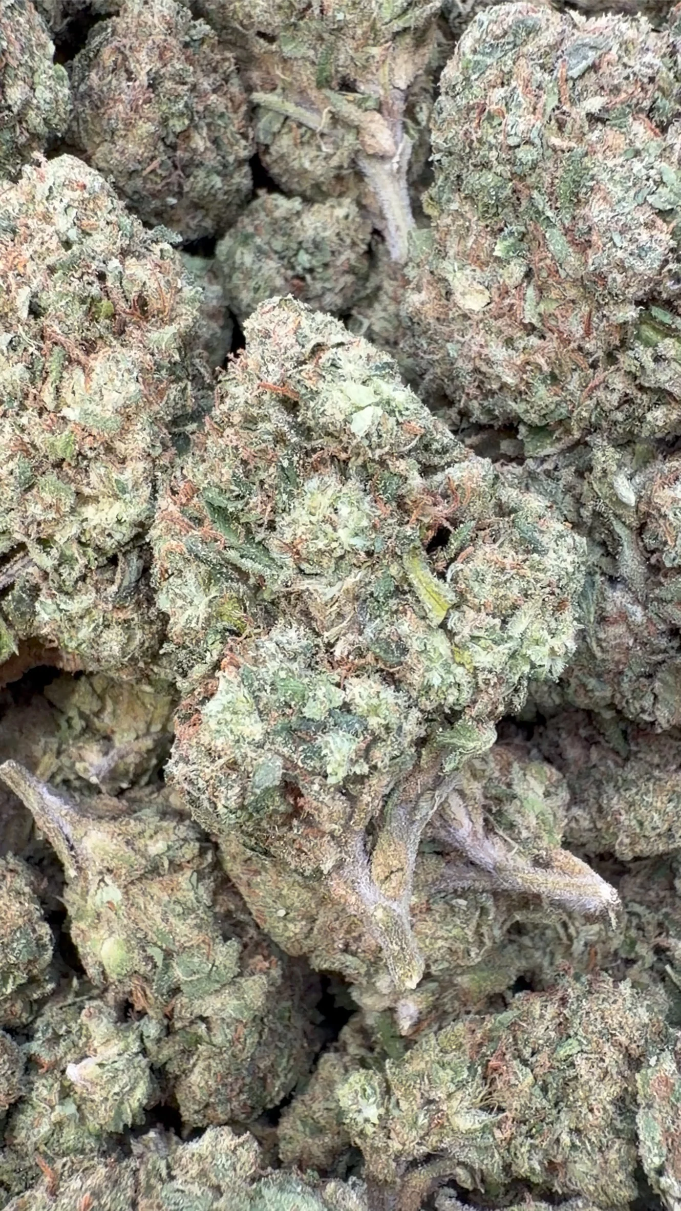 Wedding Cake THCA Flower